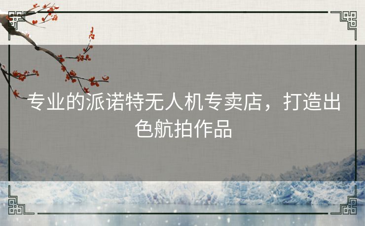 专业的派诺特无人机专卖店，打造出色航拍作品