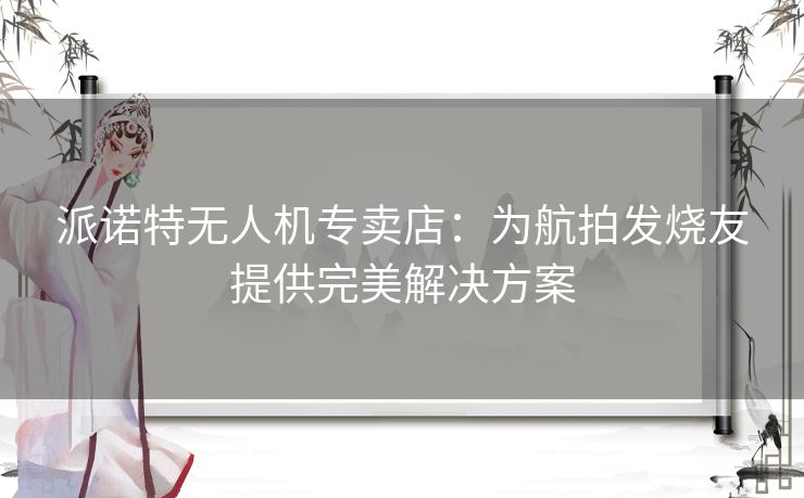 派诺特无人机专卖店:为航拍发烧友提供完美解决方案 派诺特无人机专卖店:为航拍发烧友提供完美解决方案