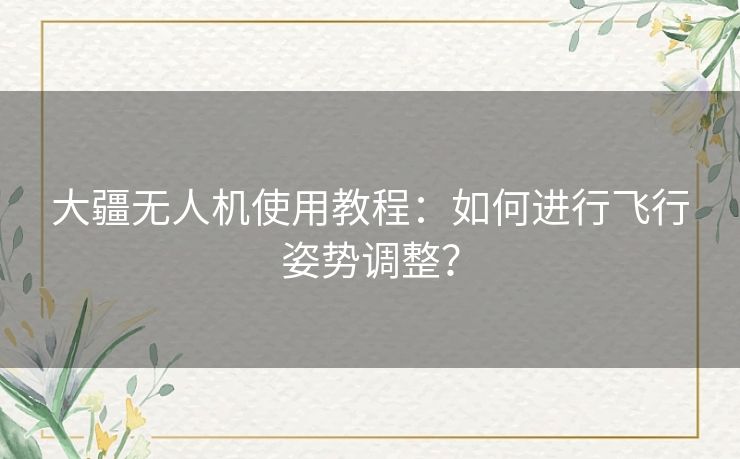 大疆无人机使用教程：如何进行飞行姿势调整？