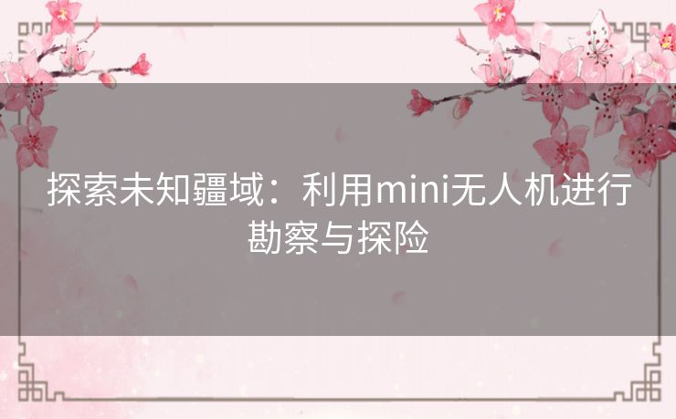 探索未知疆域：利用mini无人机进行勘察与探险