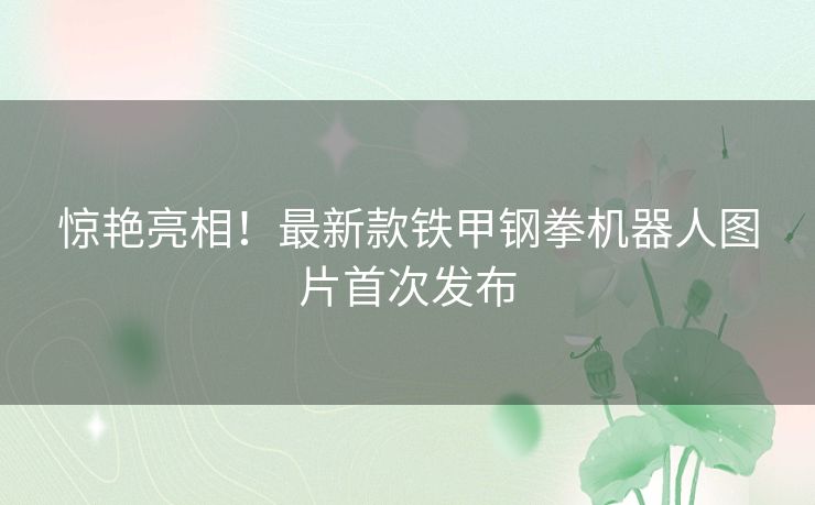 惊艳亮相！最新款铁甲钢拳机器人图片首次发布