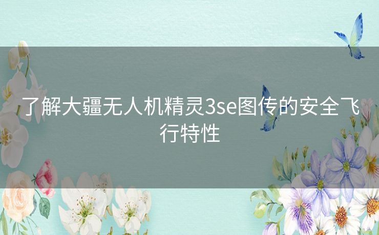 了解大疆无人机精灵3se图传的安全飞行特性