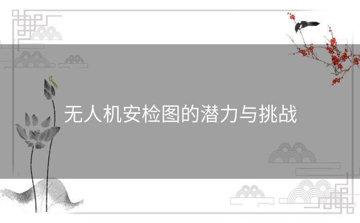 无人机安检图的潜力与挑战 无人机安检图的潜力与挑战