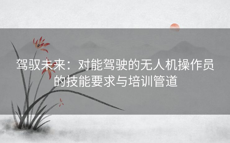 驾驭未来:对能驾驶的无人机操作员的技能要求与培训管道 驾驭未来:对能驾驶的无人机操作员的技能要求与培训管道