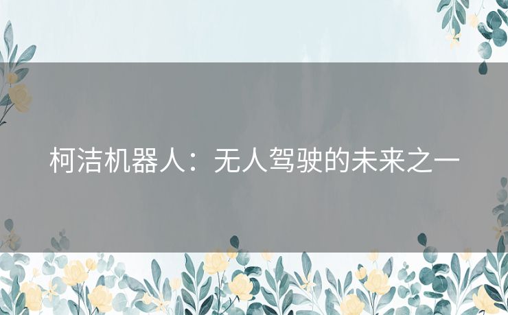 柯洁机器人:无人驾驶的未来之一 柯洁机器人:无人驾驶的未来之一