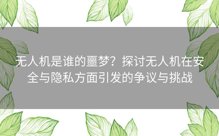 无人机是谁的噩梦?探讨无人机在安全与隐私方面引发的争议与挑战 无人机是谁的噩梦?探讨无人机在安全与隐私方面引发的争议与挑战