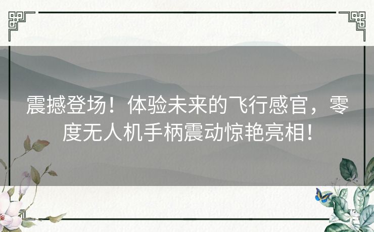 震撼登场!体验未来的飞行感官,零度无人机手柄震动惊艳亮相! 震撼登场!体验未来的飞行感官,零度无人机手柄震动惊艳亮相!