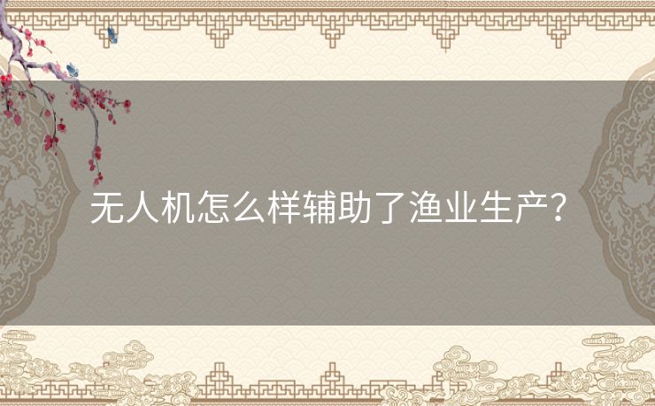 无人机怎么样辅助了渔业生产? 无人机怎么样辅助了渔业生产?