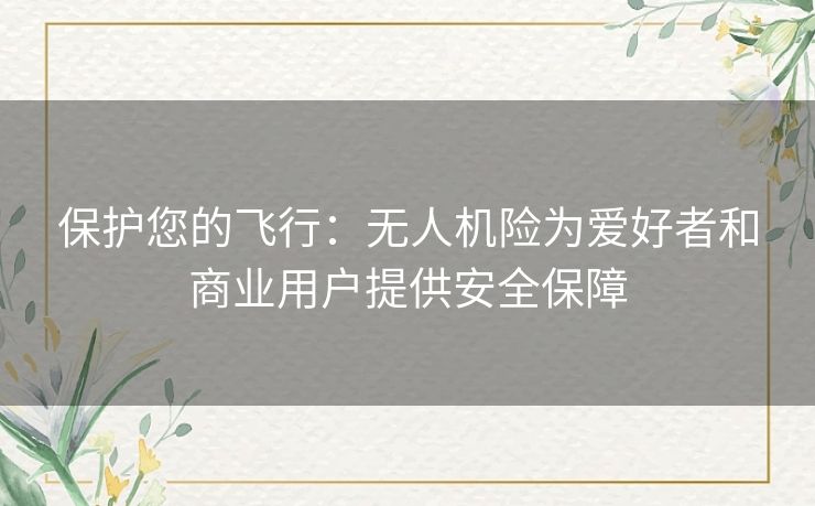 保护您的飞行:无人机险为爱好者和商业用户提供安全保障 保护您的飞行:无人机险为爱好者和商业用户提供安全保障