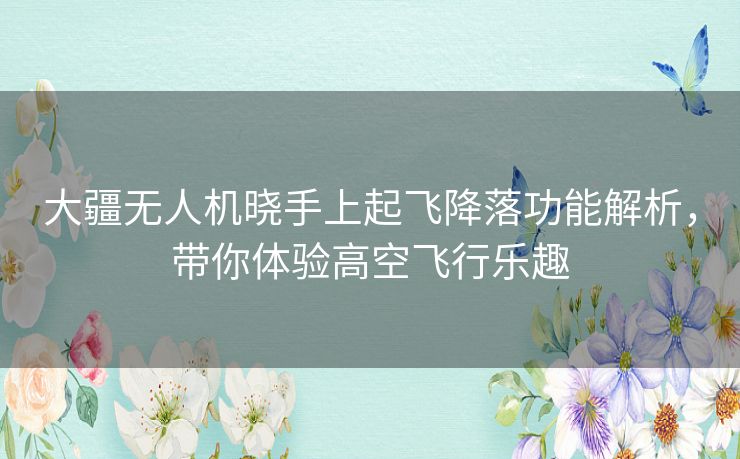 大疆无人机晓手上起飞降落功能解析,带你体验高空飞行乐趣 大疆无人机晓手上起飞降落功能解析,带你体验高空飞行乐趣