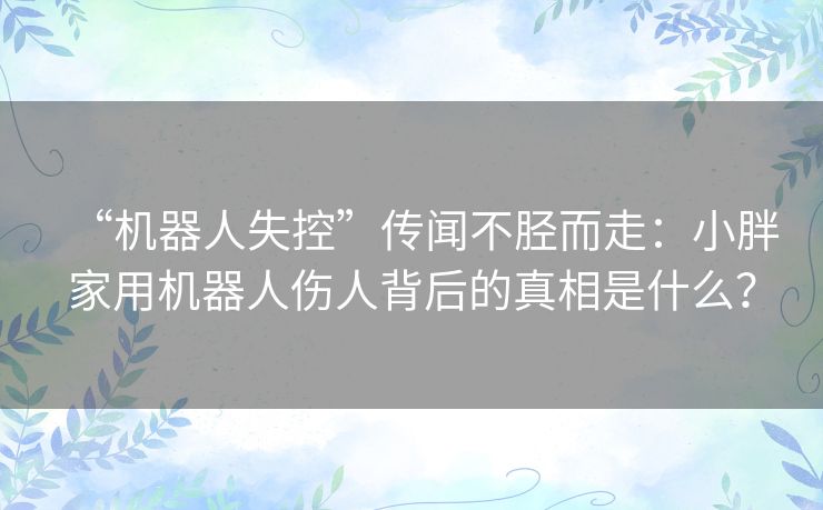 “机器人失控”传闻不胫而走:小胖家用机器人伤人背后的真相是什么? “机器人失控”传闻不胫而走:小胖家用机器人伤人背后的真相是什么?