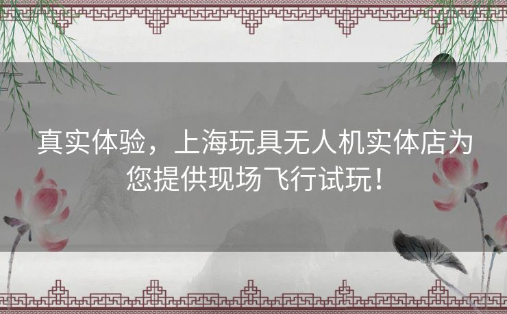 真实体验,上海玩具无人机实体店为您提供现场飞行试玩! 真实体验,上海玩具无人机实体店为您提供现场飞行试玩!