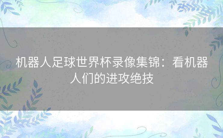 机器人足球世界杯录像集锦：看机器人们的进攻绝技