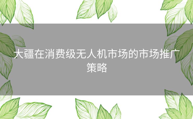 大疆在消费级无人机市场的市场推广策略