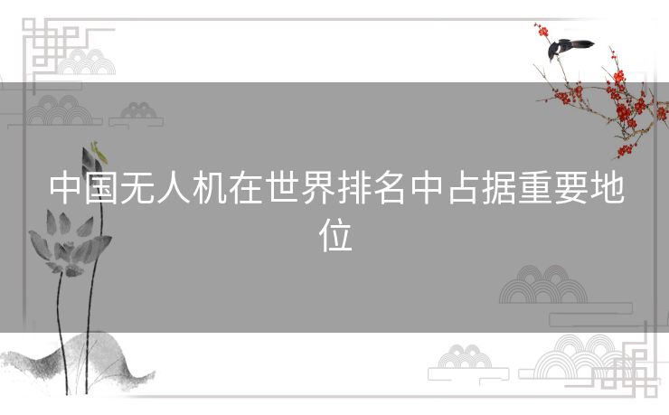 中国无人机在世界排名中占据重要地位