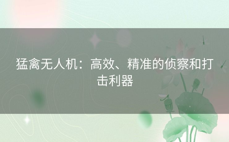 猛禽无人机:高效、精准的侦察和打击利器 猛禽无人机:高效、精准的侦察和打击利器