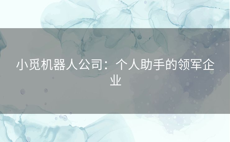 小觅机器人公司:个人助手的领军企业 小觅机器人公司:个人助手的领军企业