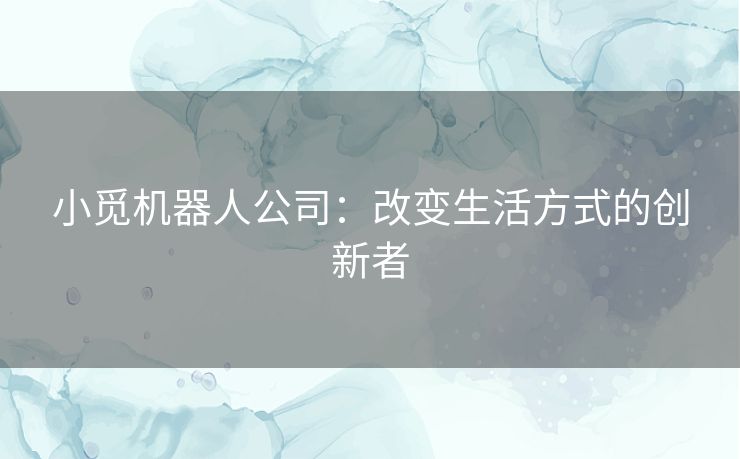 小觅机器人公司:改变生活方式的创新者 小觅机器人公司:改变生活方式的创新者