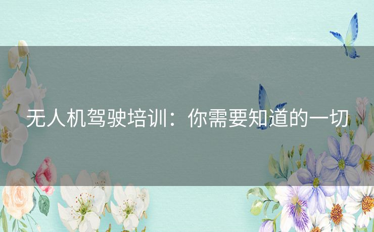 无人机驾驶培训:你需要知道的一切 无人机驾驶培训:你需要知道的一切