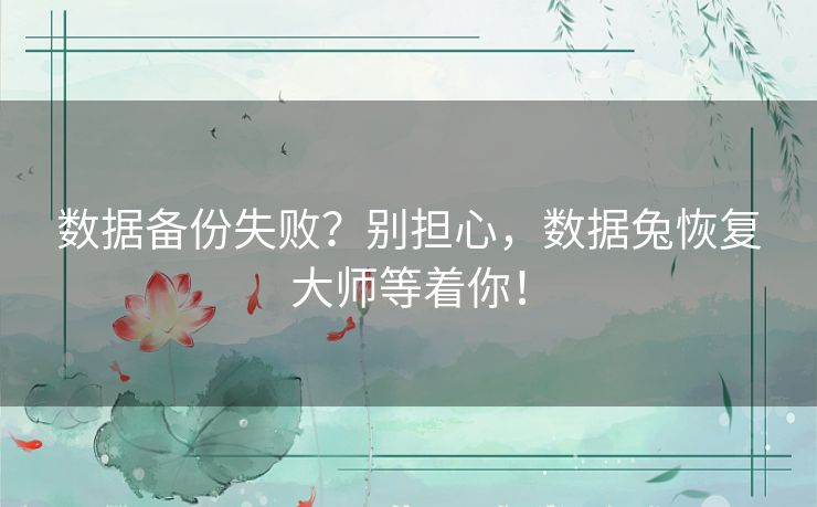 数据备份失败？别担心，数据兔恢复大师等着你！