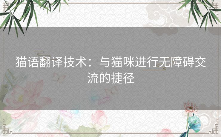 猫语翻译技术:与猫咪进行无障碍交流的捷径 猫语翻译技术:与猫咪进行无障碍交流的捷径