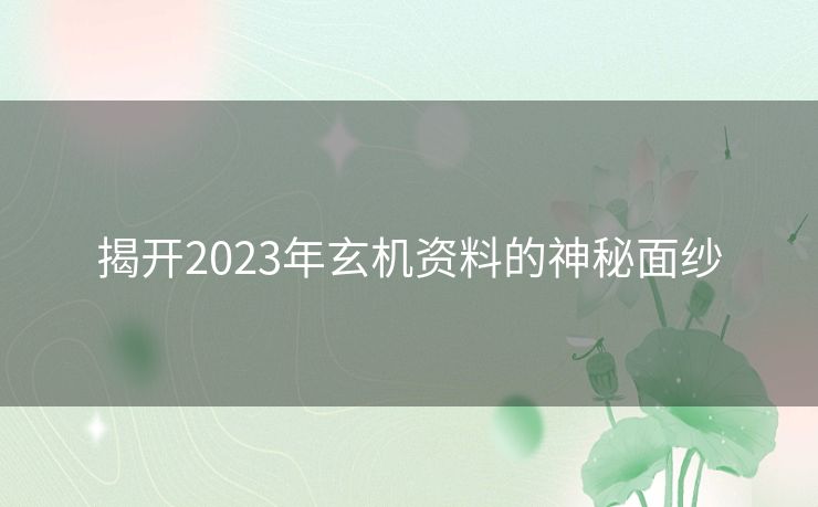 揭开2023年玄机资料的神秘面纱 揭开2023年玄机资料的神秘面纱