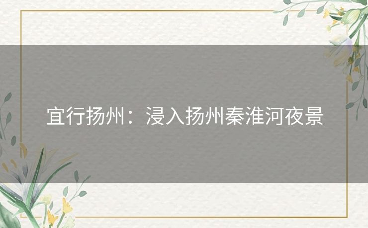 宜行扬州：浸入扬州秦淮河夜景