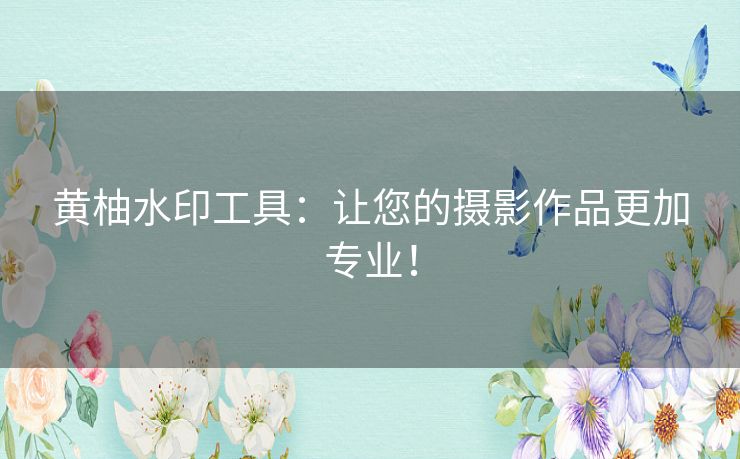 黄柚水印工具:让您的摄影作品更加专业! 黄柚水印工具:让您的摄影作品更加专业!