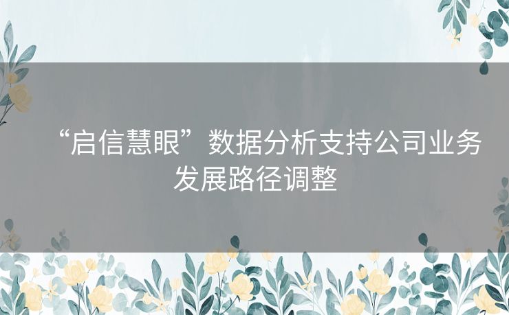 “启信慧眼”数据分析支持公司业务发展路径调整 “启信慧眼”数据分析支持公司业务发展路径调整