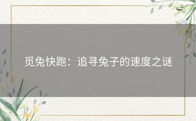觅兔快跑:追寻兔子的速度之谜 觅兔快跑:追寻兔子的速度之谜