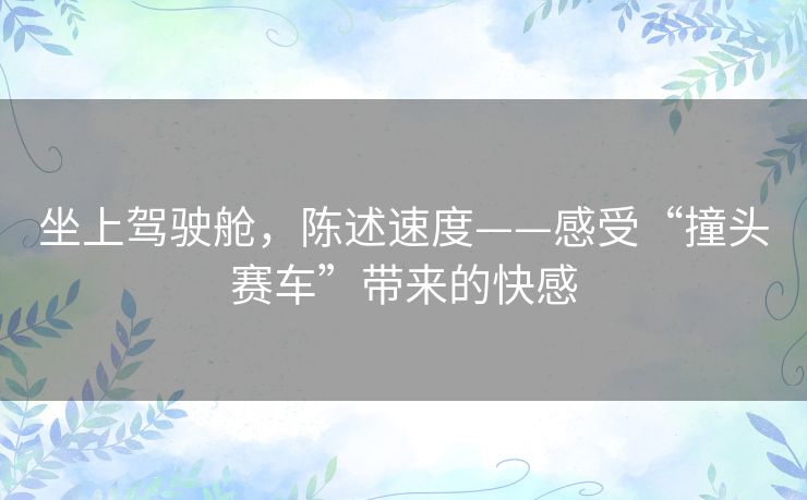 坐上驾驶舱,陈述速度——感受“撞头赛车”带来的快感 坐上驾驶舱,陈述速度——感受“撞头赛车”带来的快感