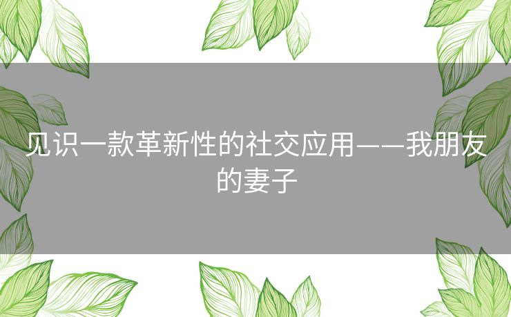 见识一款革新性的社交应用——我朋友的妻子 见识一款革新性的社交应用——我朋友的妻子