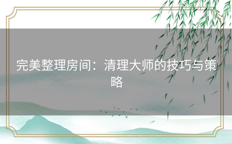 完美整理房间:清理大师的技巧与策略 完美整理房间:清理大师的技巧与策略