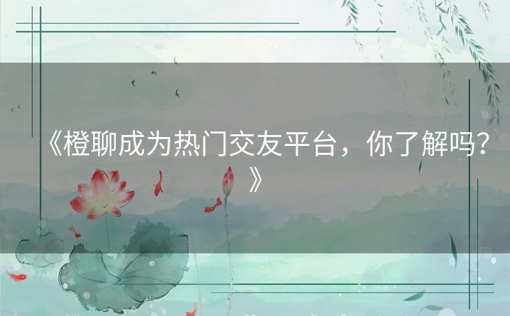 《橙聊成为热门交友平台,你了解吗?》 《橙聊成为热门交友平台,你了解吗?》