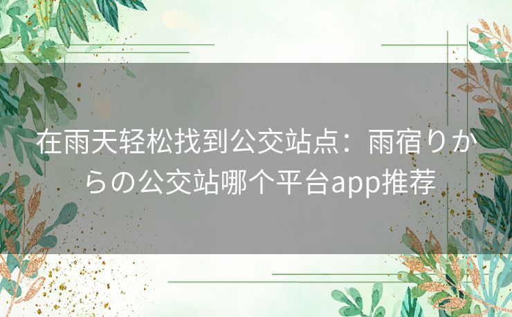 在雨天轻松找到公交站点:雨宿りからの公交站哪个平台app推荐 在雨天轻松找到公交站点:雨宿りからの公交站哪个平台app推荐
