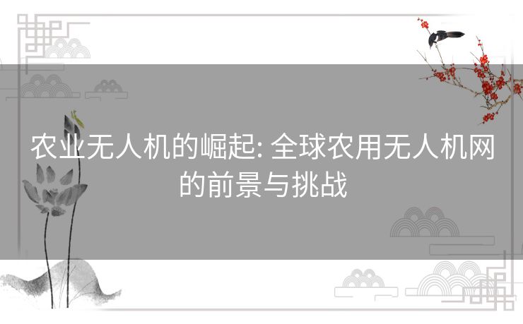 农业无人机的崛起: 全球农用无人机网的前景与挑战 农业无人机的崛起: 全球农用无人机网的前景与挑战