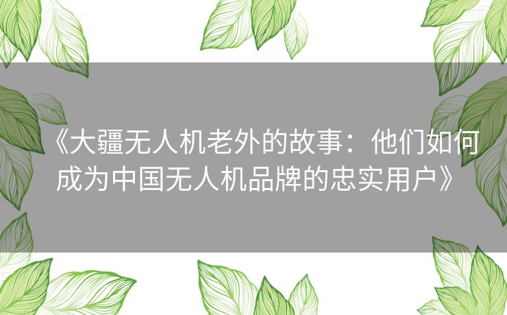 《大疆无人机老外的故事:他们如何成为中国无人机品牌的忠实用户》 《大疆无人机老外的故事:他们如何成为中国无人机品牌的忠实用户》