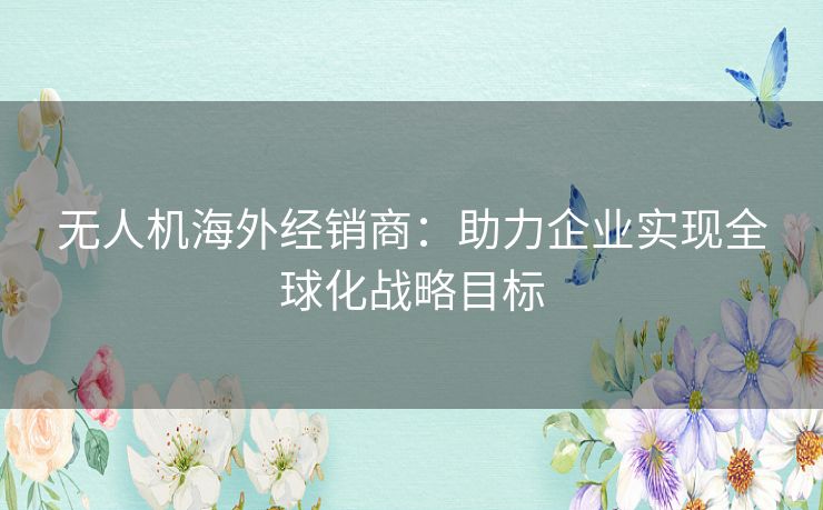无人机海外经销商：助力企业实现全球化战略目标