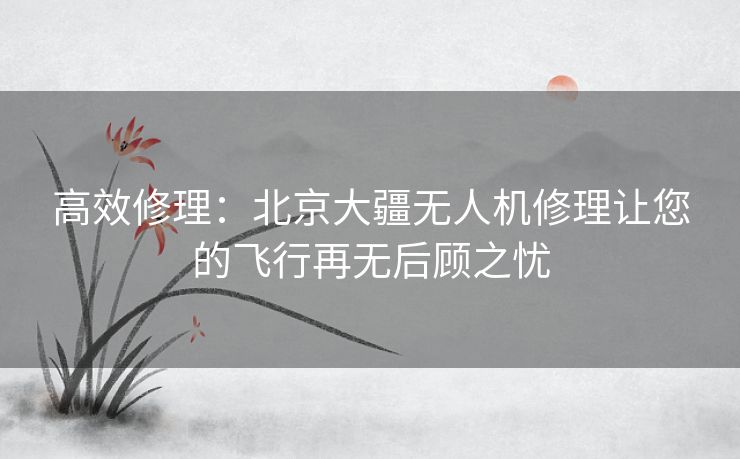 高效修理:北京大疆无人机修理让您的飞行再无后顾之忧 高效修理:北京大疆无人机修理让您的飞行再无后顾之忧