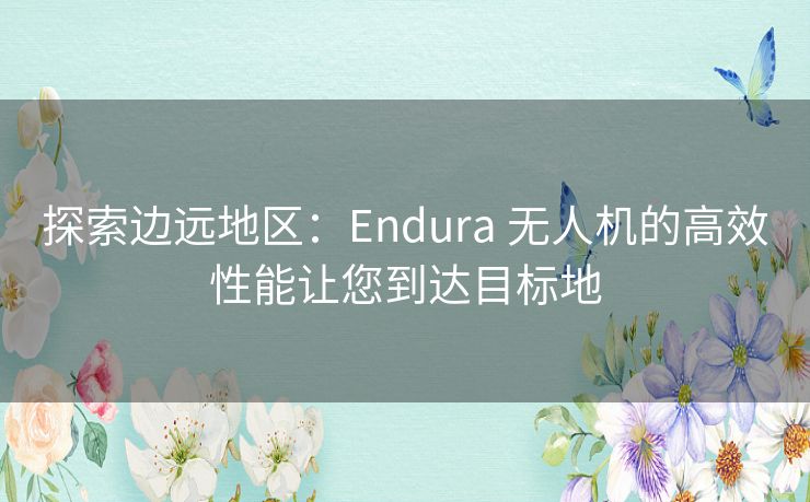 探索边远地区：Endura 无人机的高效性能让您到达目标地