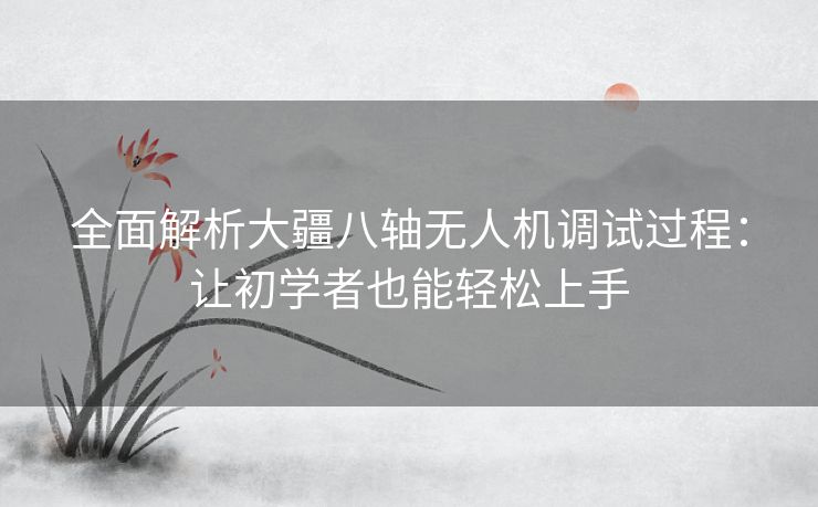 全面解析大疆八轴无人机调试过程:让初学者也能轻松上手 全面解析大疆八轴无人机调试过程:让初学者也能轻松上手