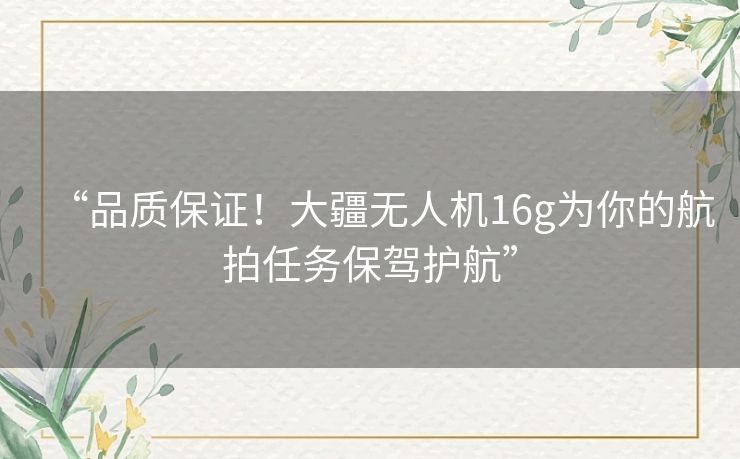“品质保证！大疆无人机16g为你的航拍任务保驾护航”