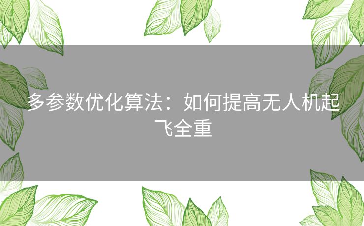 多参数优化算法:如何提高无人机起飞全重 多参数优化算法:如何提高无人机起飞全重
