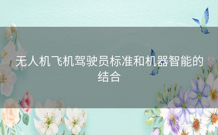 无人机飞机驾驶员标准和机器智能的结合 无人机飞机驾驶员标准和机器智能的结合