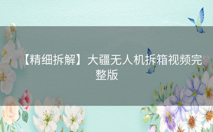 【精细拆解】大疆无人机拆箱视频完整版 【精细拆解】大疆无人机拆箱视频完整版