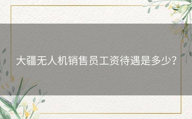 大疆无人机销售员工资待遇是多少? 大疆无人机销售员工资待遇是多少?