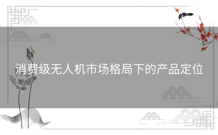 消费级无人机市场格局下的产品定位 消费级无人机市场格局下的产品定位