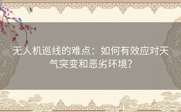 无人机巡线的难点:如何有效应对天气突变和恶劣环境? 无人机巡线的难点:如何有效应对天气突变和恶劣环境?