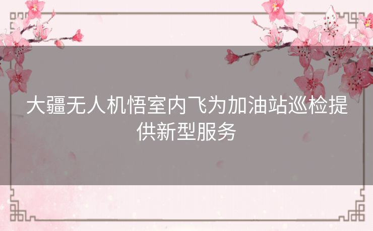 大疆无人机悟室内飞为加油站巡检提供新型服务 大疆无人机悟室内飞为加油站巡检提供新型服务