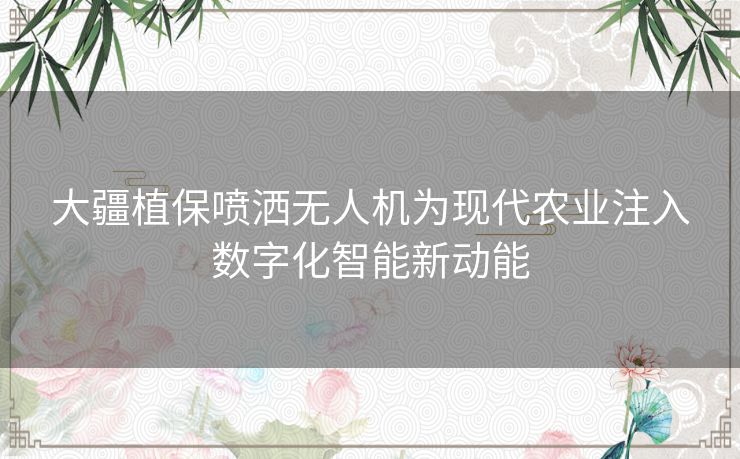 大疆植保喷洒无人机为现代农业注入数字化智能新动能 大疆植保喷洒无人机为现代农业注入数字化智能新动能